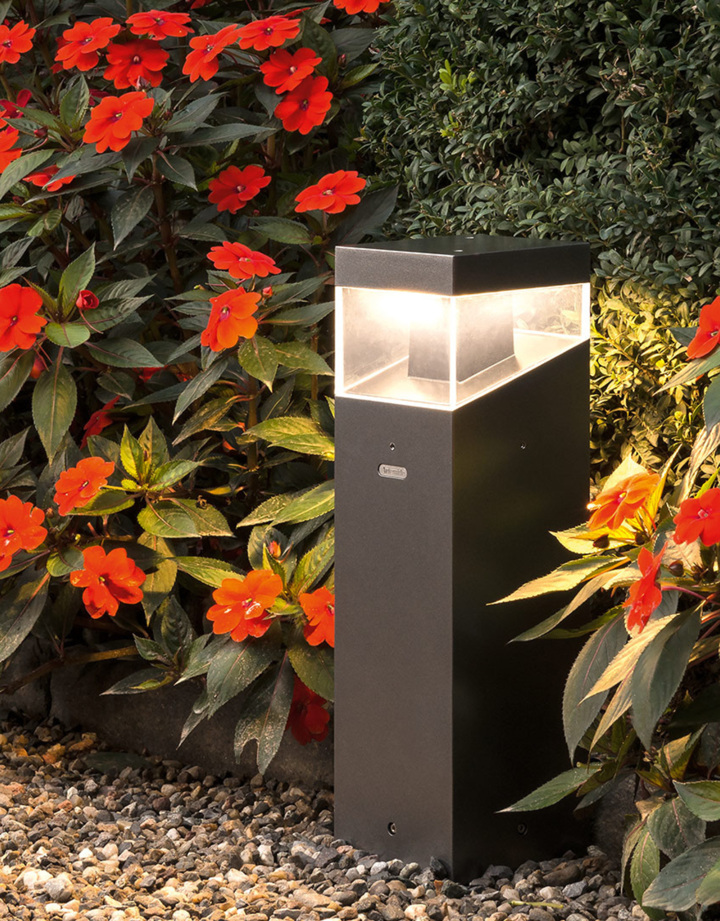 black-cove-artemide-marque
