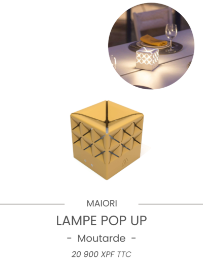 lampe de table-lampe-luminaire-exterieur-meuble-mobilier-haut de gamme-fermob-jardin-terasse-piscine